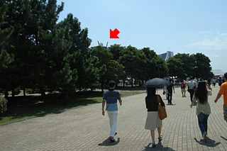 画像の説明