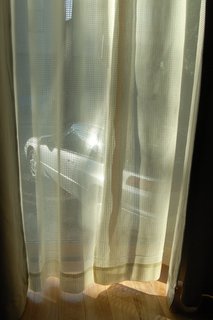 画像の説明