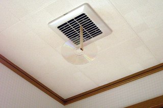 画像の説明