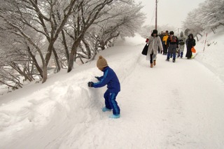 画像の説明