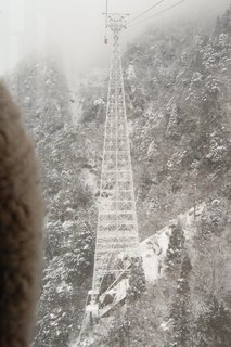 画像の説明