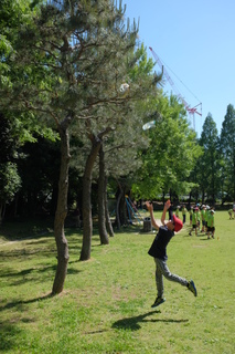 画像の説明