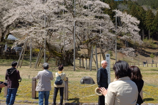 画像の説明