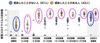 画像の説明