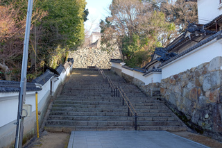画像の説明