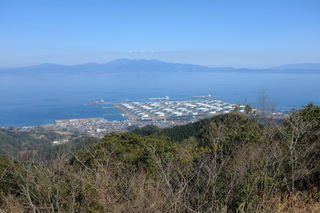 画像の説明