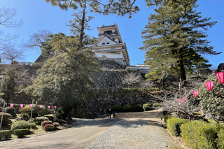 画像の説明